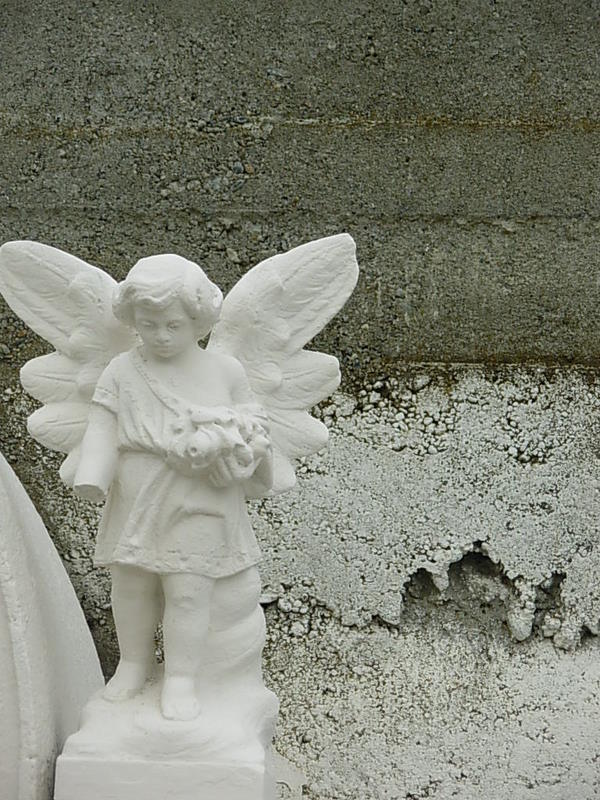 Foto de Punta Arenas, Chile