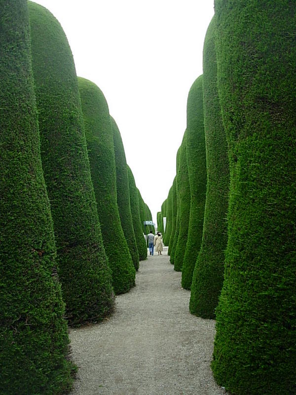 Foto de Punta Arenas, Chile