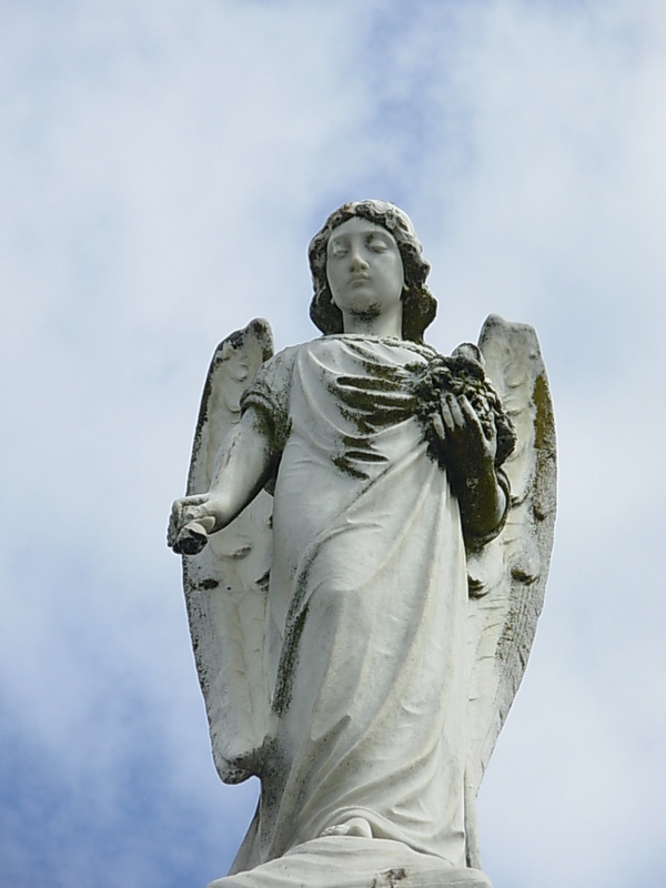 Foto de Punta Arenas, Chile