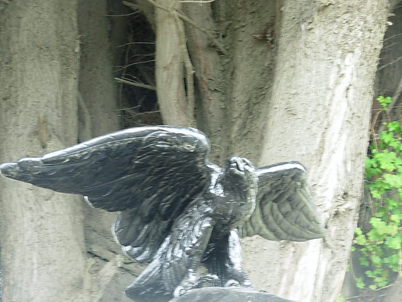 Foto de Punta Arenas, Chile