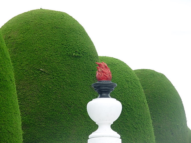 Foto de Punta Arenas, Chile