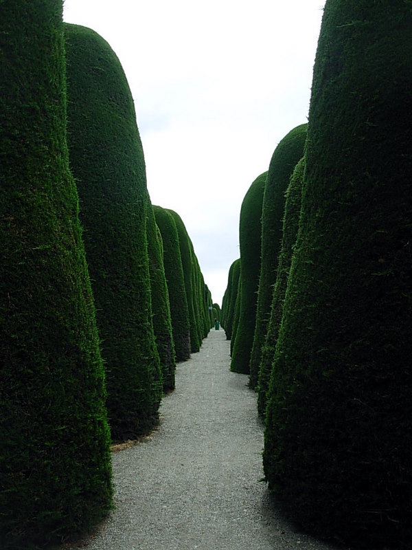 Foto de Punta Arenas, Chile