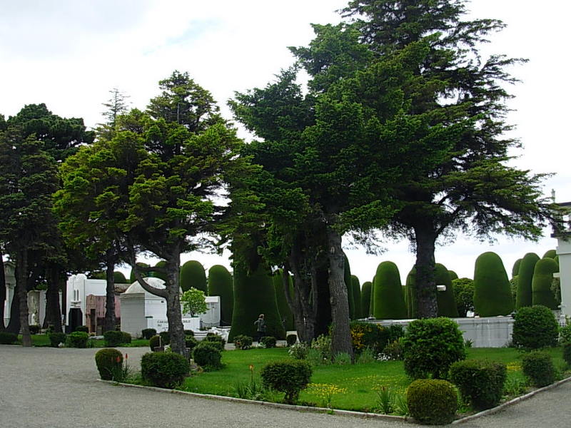 Foto de Punta Arenas, Chile
