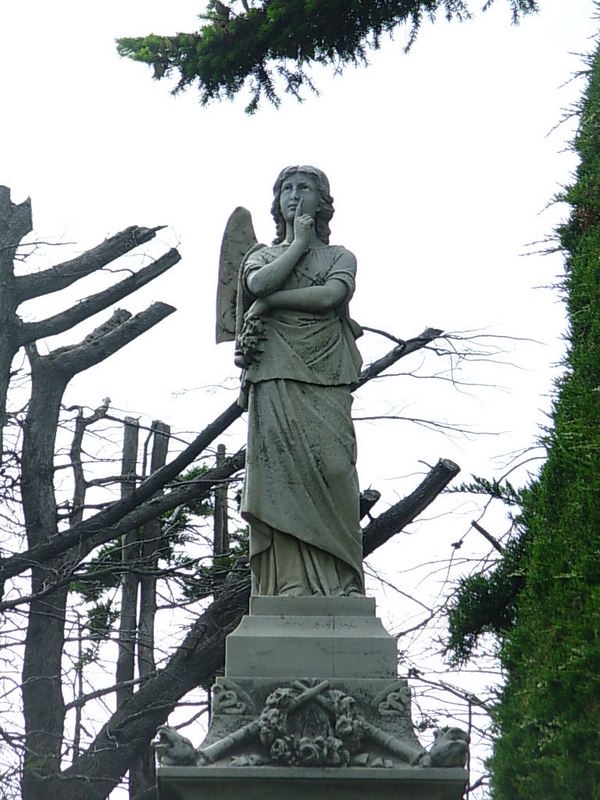 Foto de Punta Arenas, Chile