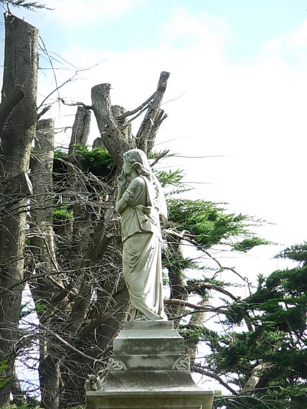 Foto de Punta Arenas, Chile