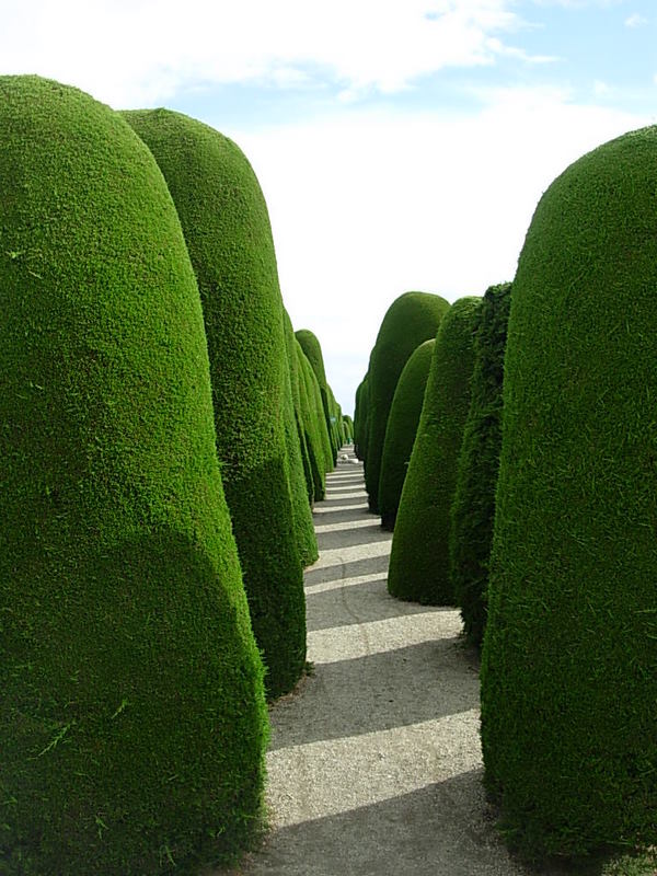 Foto de Punta Arenas, Chile