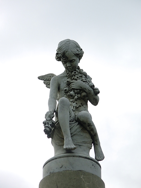 Foto de Punta Arenas, Chile