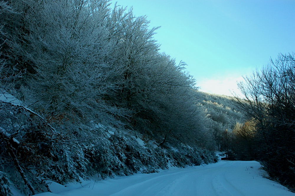 Foto de Riaza (Segovia), España