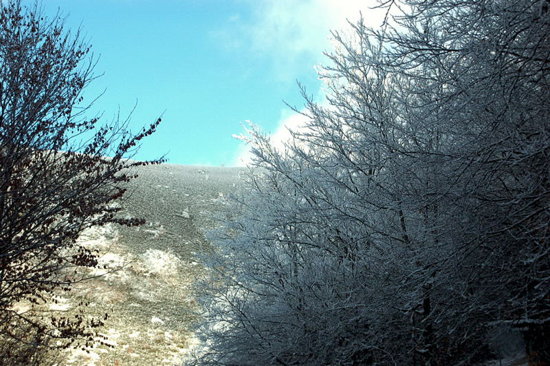 Foto de Riaza (Segovia), España