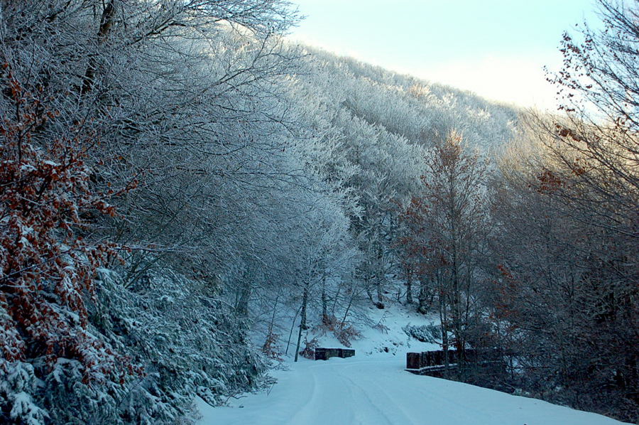 Foto de Riaza (Segovia), España