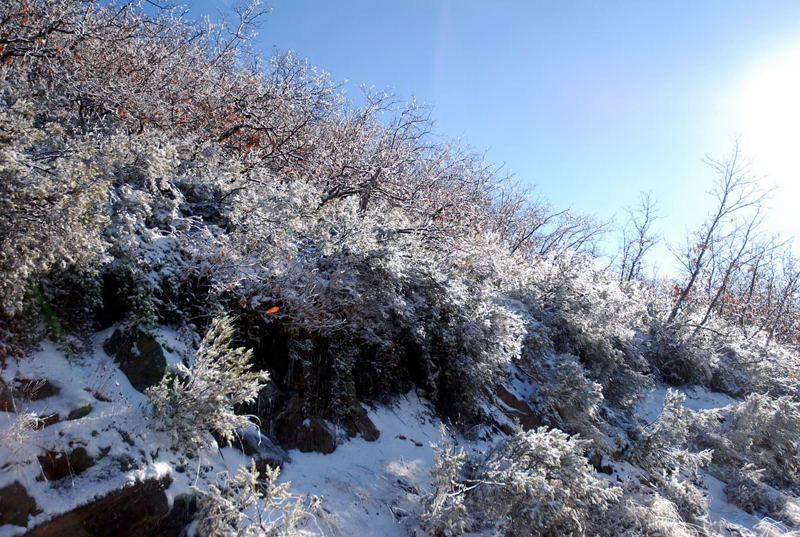 Foto de Riaza (Segovia), España