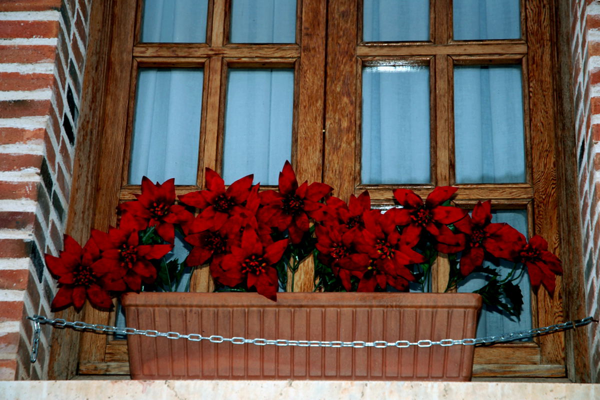 Foto de Ayllón (Segovia), España