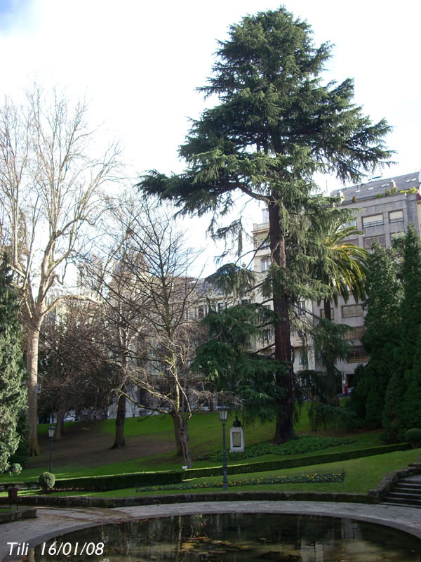 Foto de Oviedo (Asturias), España