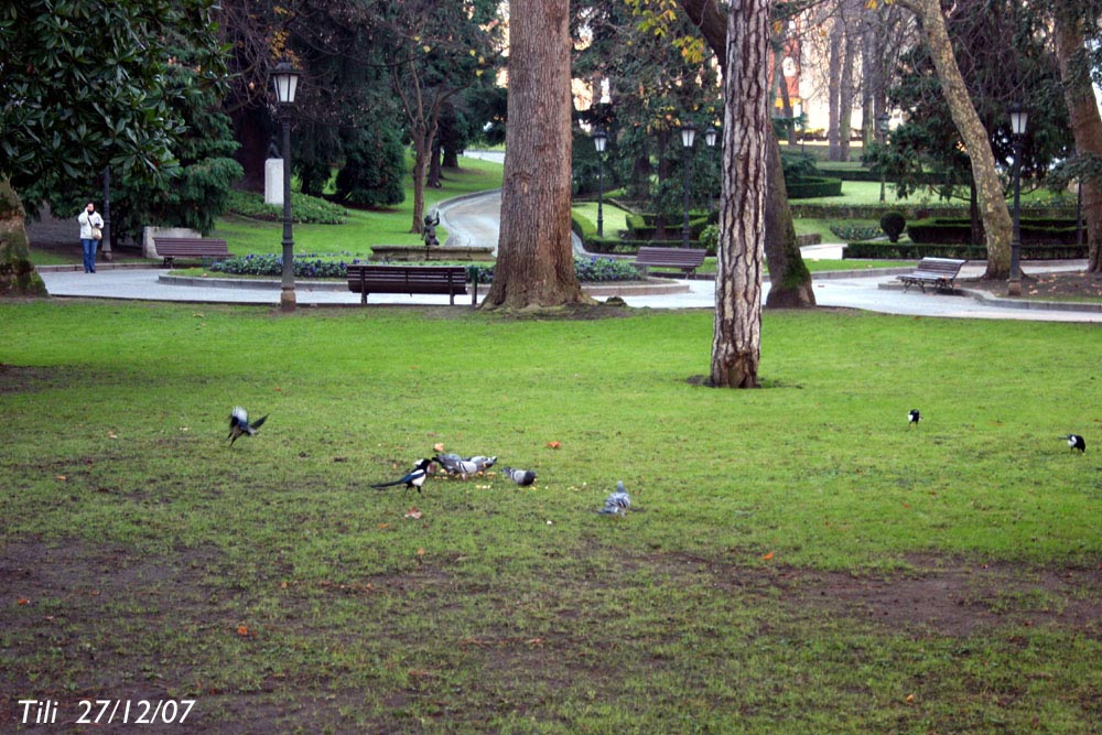 Foto de Oviedo (Asturias), España