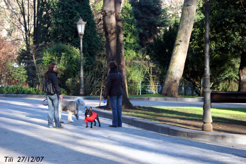 Foto de Oviedo (Asturias), España