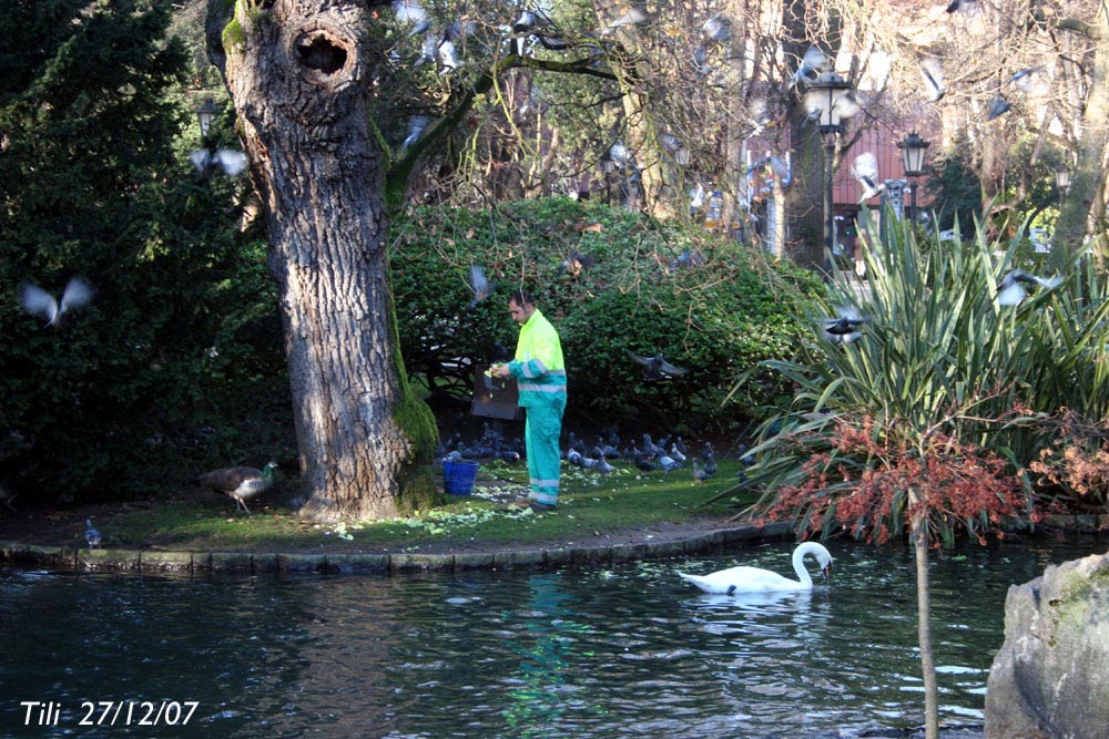 Foto de Oviedo (Asturias), España