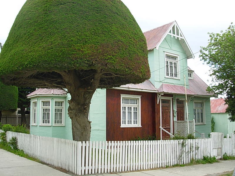 Foto de Porvenir, Tierra del Fuego, Chile