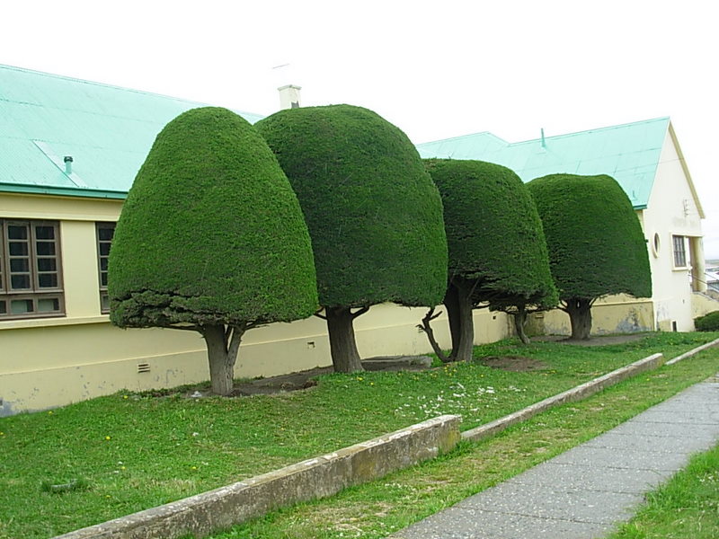 Foto de Porvenir, Tierra del Fuego, Chile