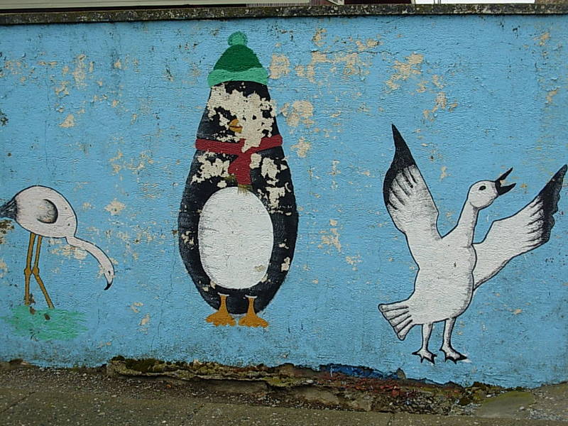 Foto de Porvenir, Tierra del Fuego, Chile