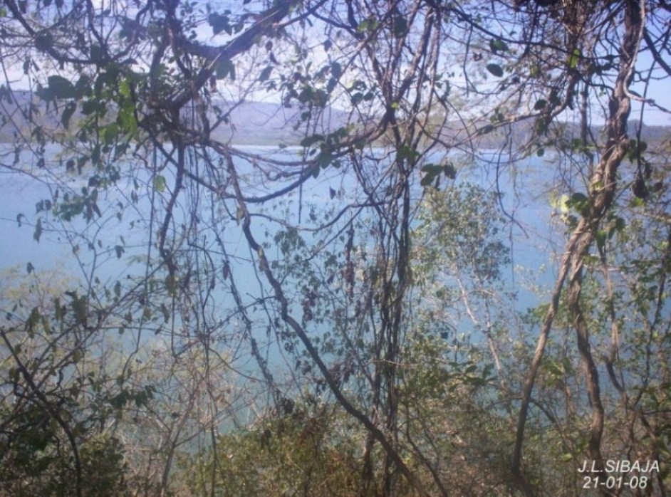 Foto de Paquera, Puntarenas, Costa Rica