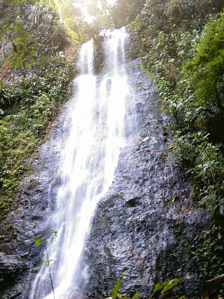 Foto de Buenos Aires, Puntarenas, Costa Rica