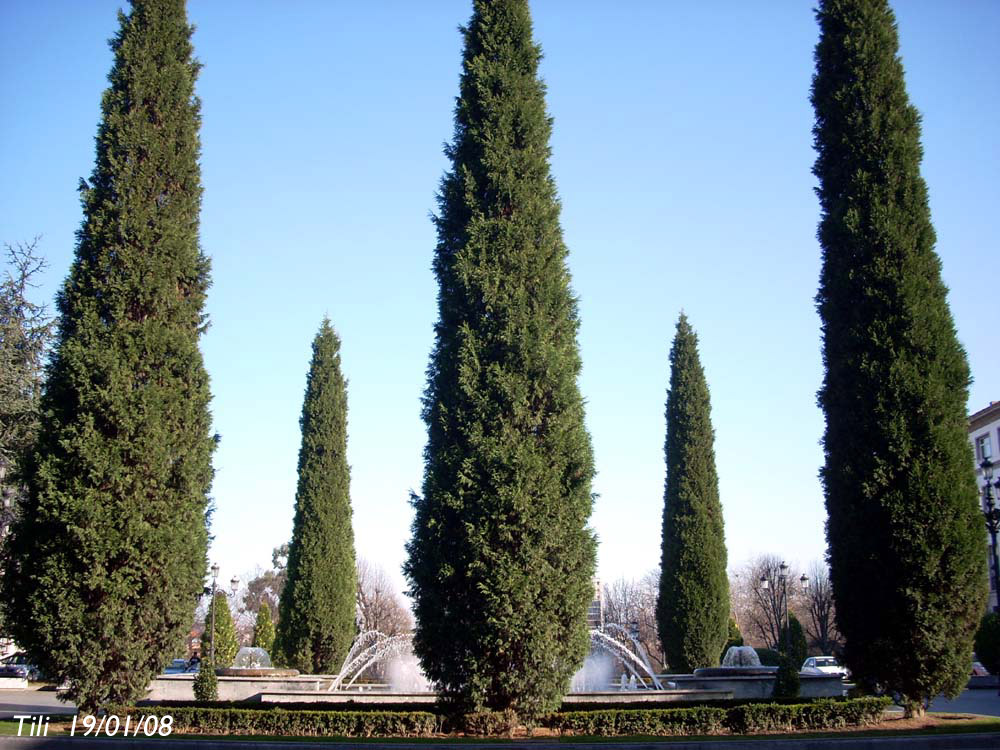 Foto de Oviedo (Asturias), España