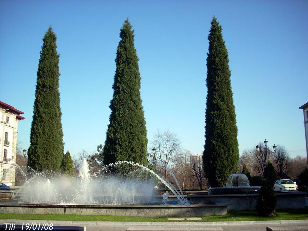 Foto de Oviedo (Asturias), España