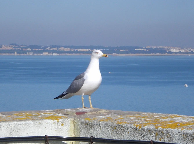 Foto de Cádiz (Andalucía), España