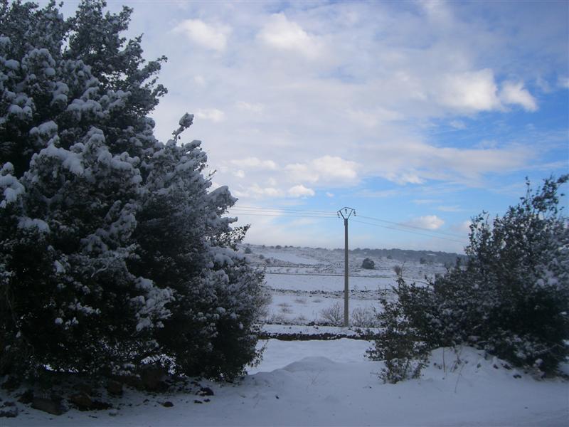 Foto de Sueda, La República Árabe Siria