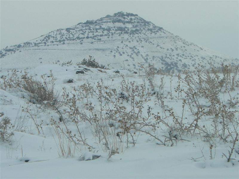 Foto de Sueda, La República Árabe Siria