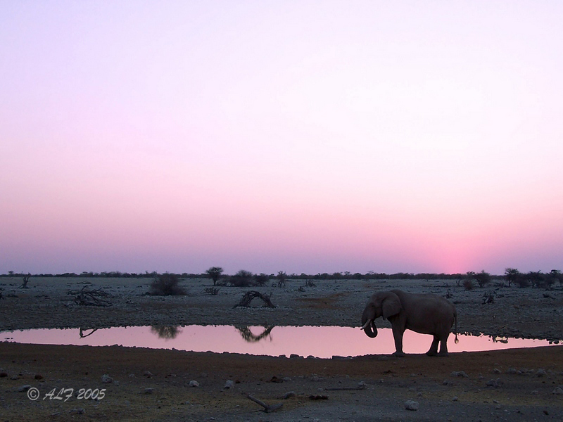 Foto de Okaukuejo, Namibia