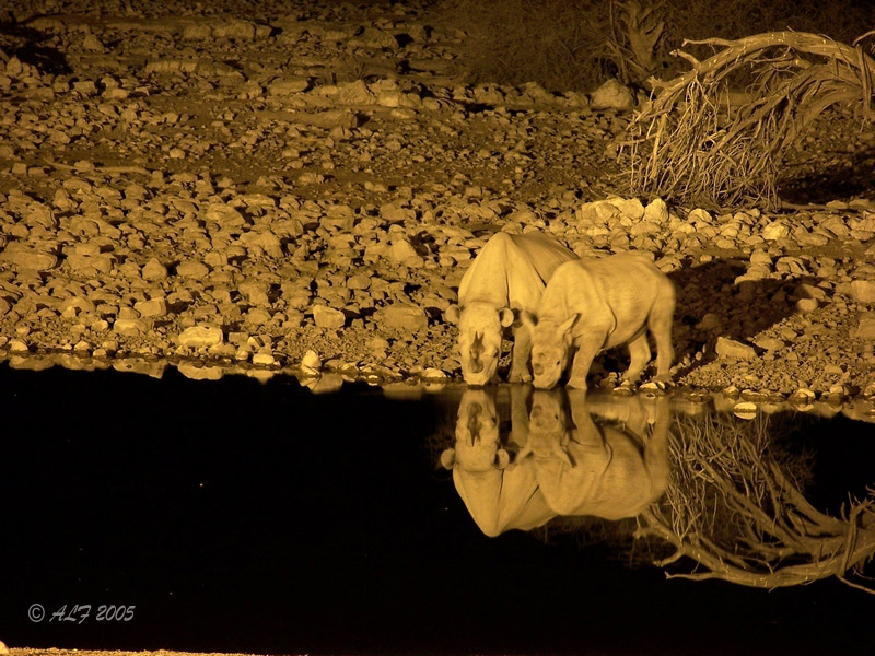 Foto de Okaukuejo, Namibia