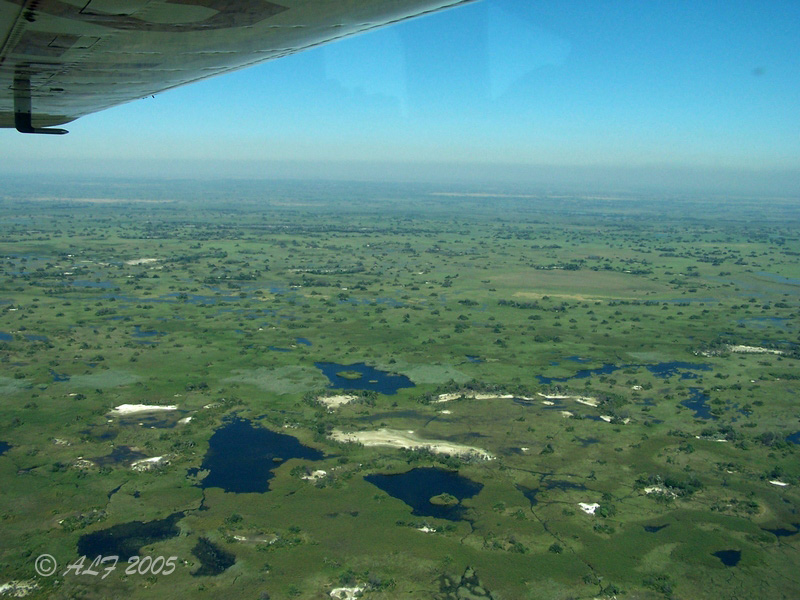 Foto de Maun, Botswana