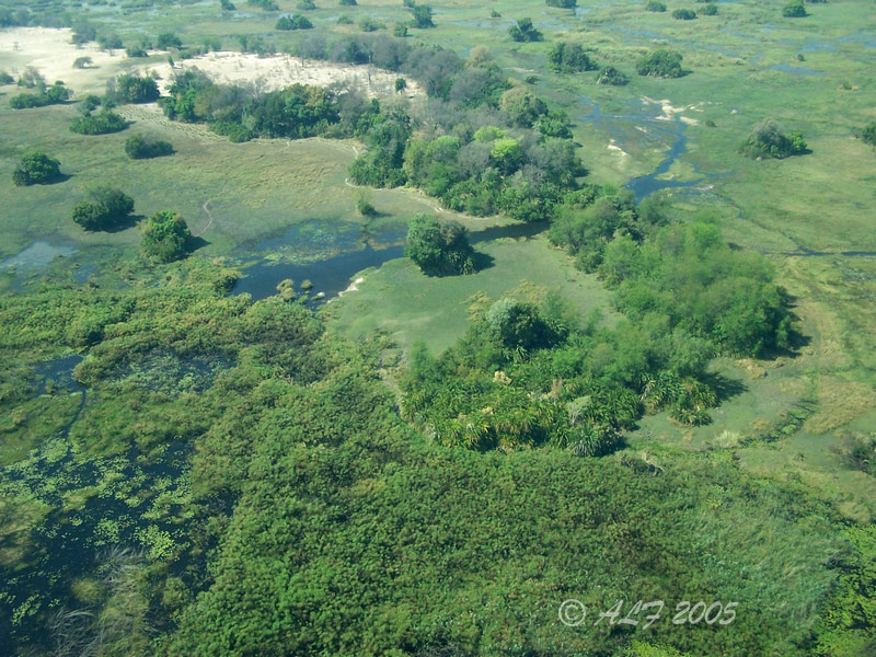 Foto de Maun, Botswana
