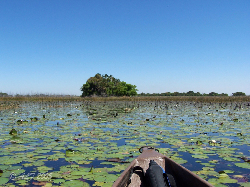 Foto de Maun, Botswana
