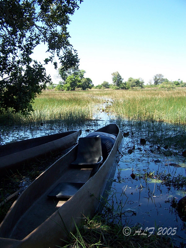 Foto de Maun, Botswana
