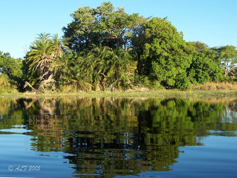 Foto de Maun, Botswana