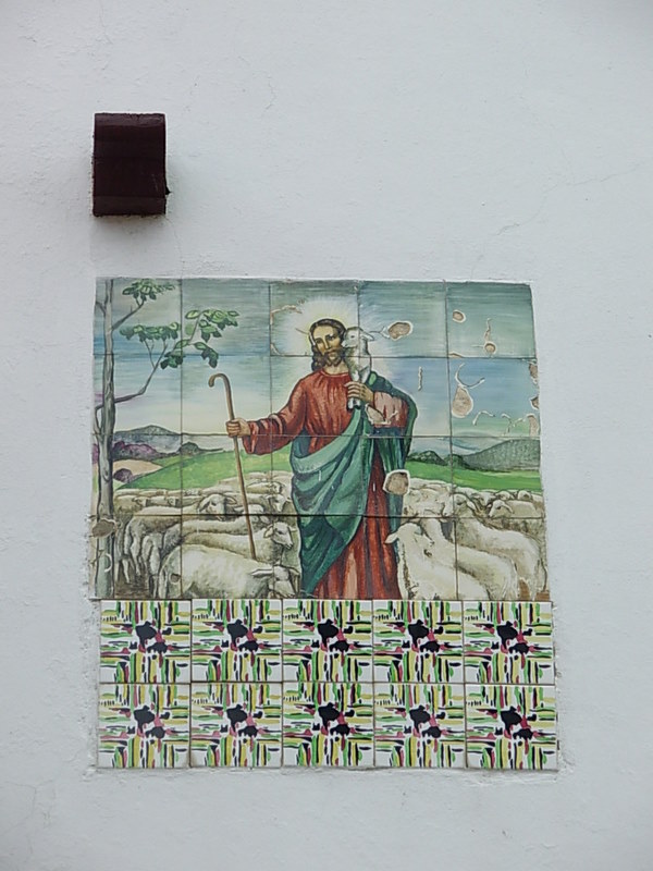 Foto de Punta Arenas, Chile