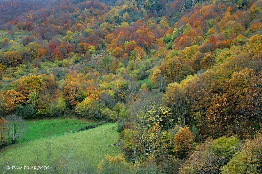 Foto de Cangas del Narcea (Asturias), España