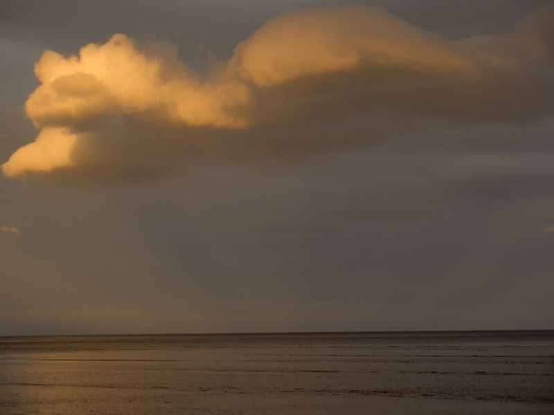 Foto de Punta Arenas, Chile