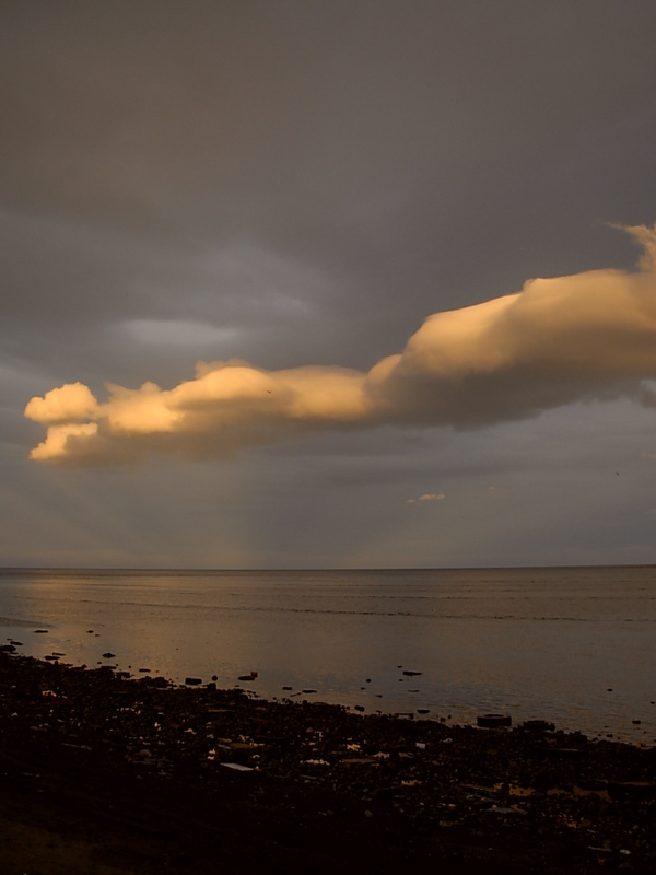 Foto de Punta Arenas, Chile