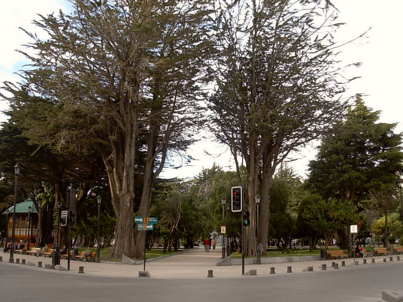 Foto de Punta Arenas, Chile