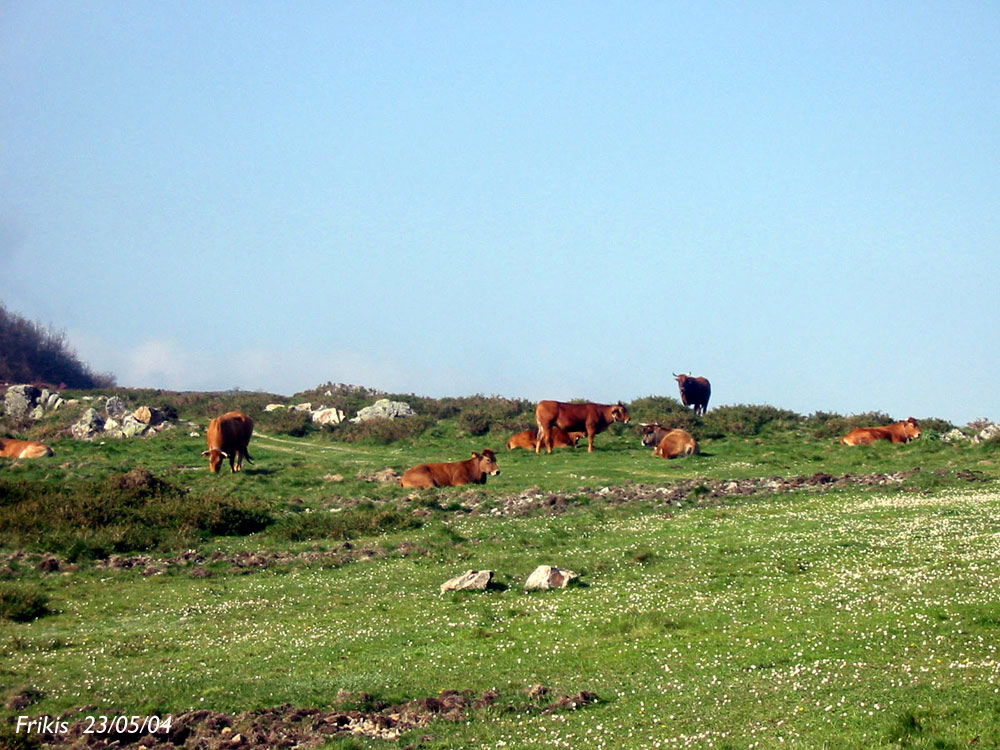 Foto de Ibias (Asturias), España