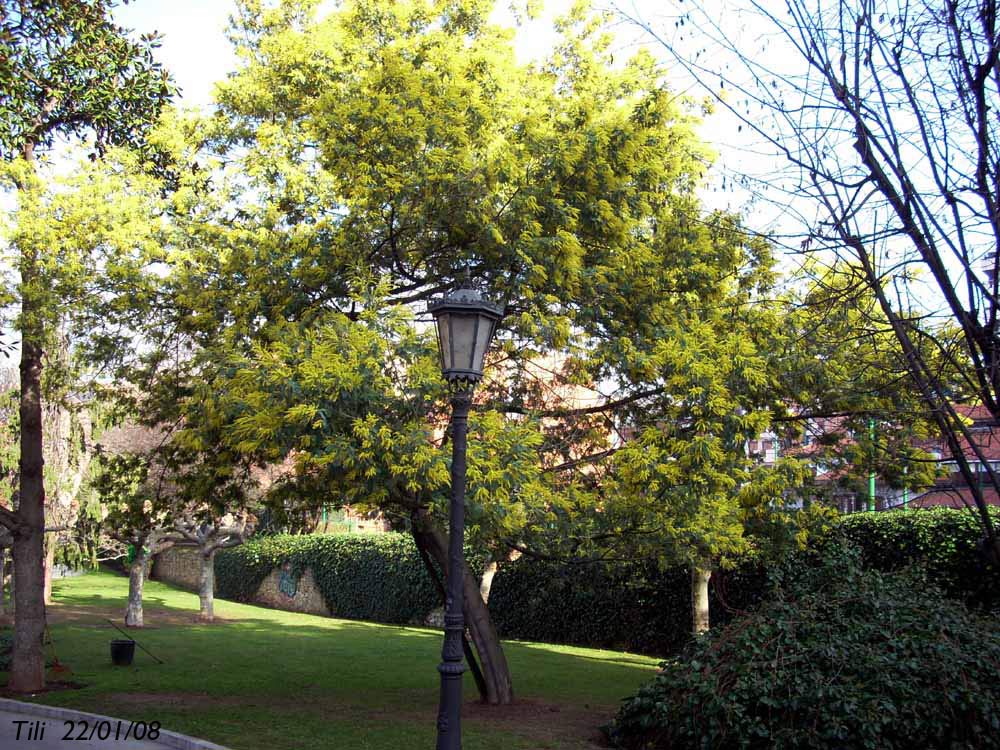 Foto de Oviedo (Asturias), España