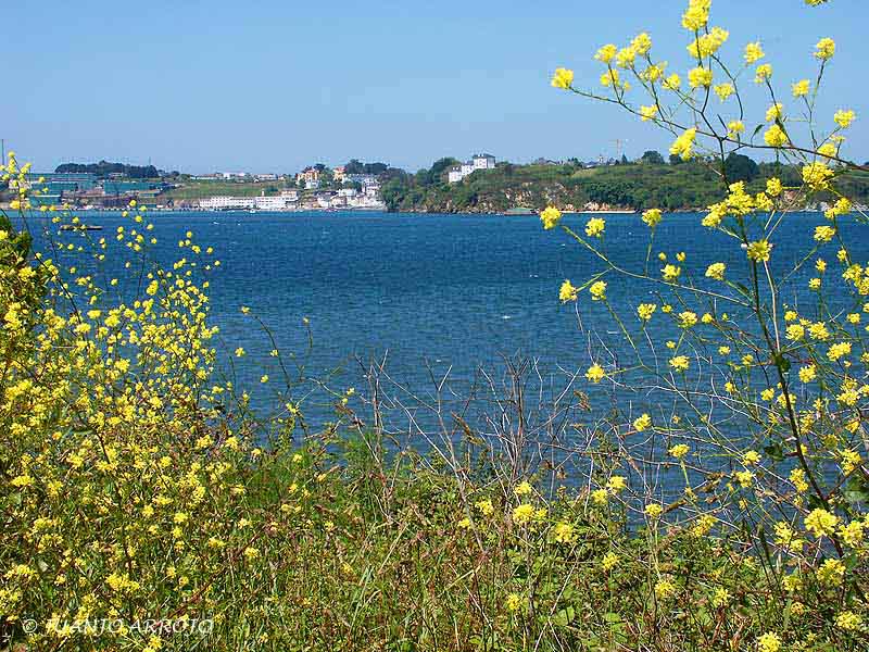 Foto de Castropol (Asturias), España