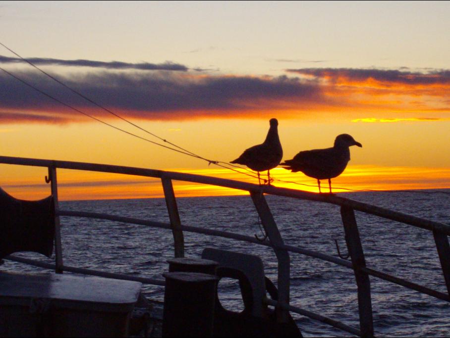 Foto de Alta Mar, Argentina