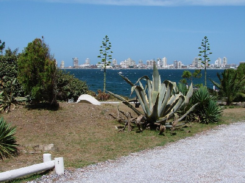 Foto de Maldonado, Uruguay