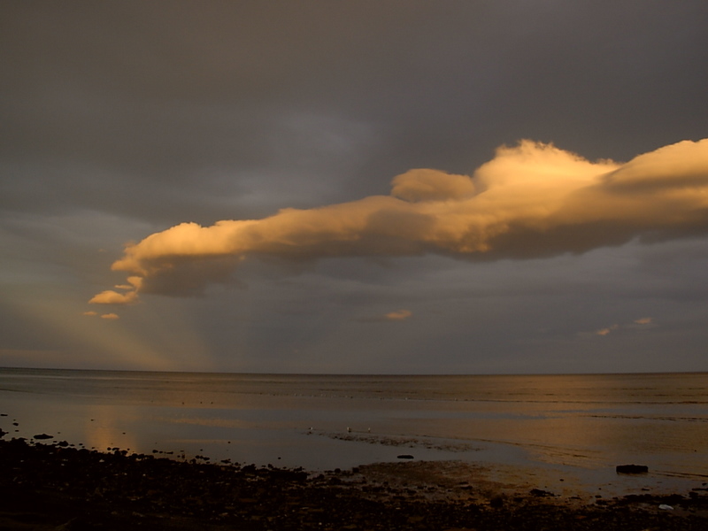 Foto de Punta Arenas, Chile