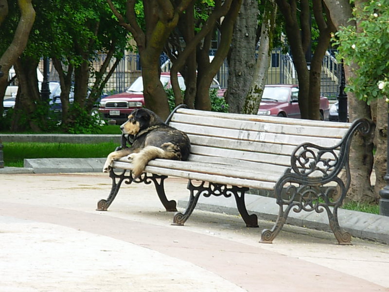 Foto de Punta Arenas, Chile