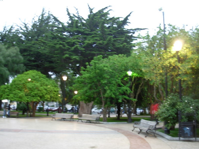 Foto de Punta Arenas, Chile